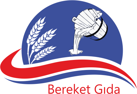 BEREKET GIDA